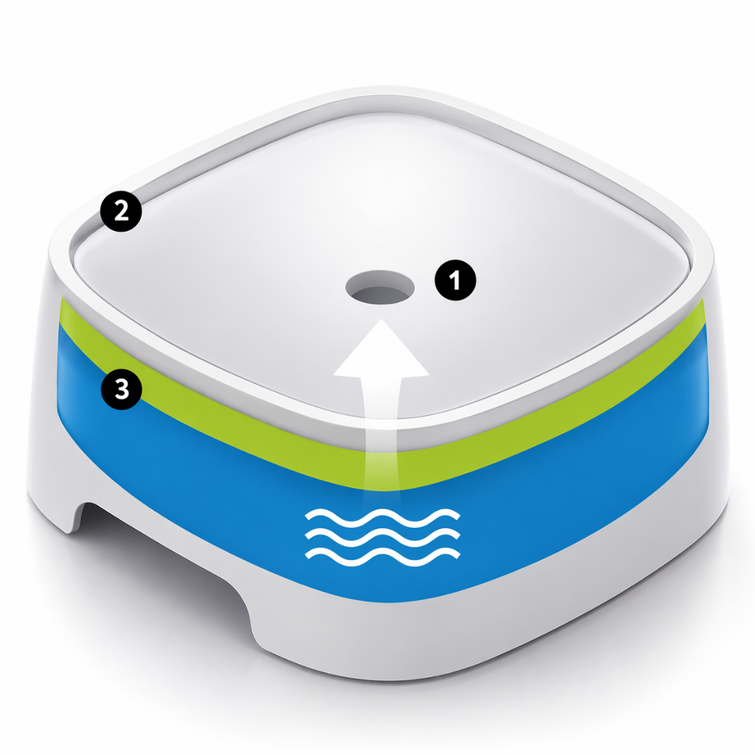 Dog Water Bowl, No Splash No Spill No Choking Bowl, Pet Water Bowl, Non Wet Mouth Dog, Water Dispenser for Dogs Large Pet, Water Bowl - Image 6