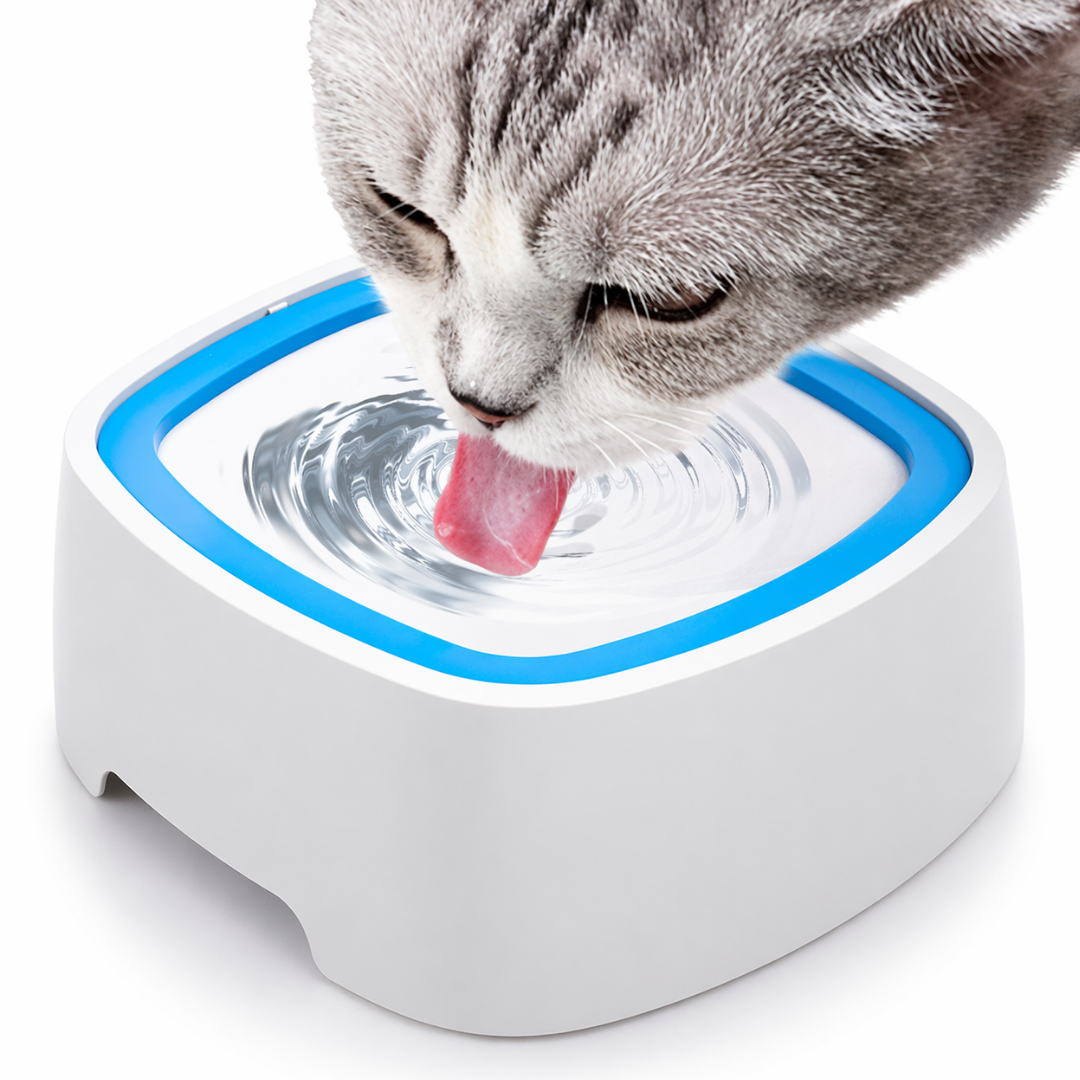 Dog Water Bowl, No Splash No Spill No Choking Bowl, Pet Water Bowl, Non Wet Mouth Dog, Water Dispenser for Dogs Large Pet, Water Bowl - Image 8